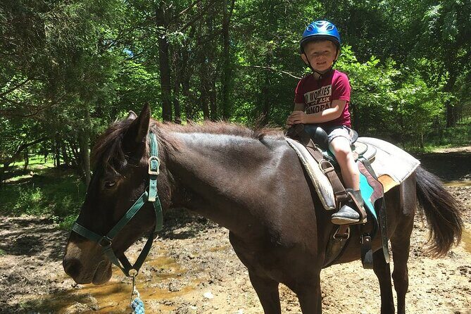 Memphis Horseback Trail Ride Tour - Who Is This Tour Best Suited For?