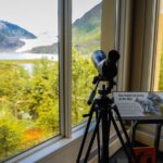 Mendenhall Glacier Express Tour - The Value of the Mendenhall Glacier Express Tour