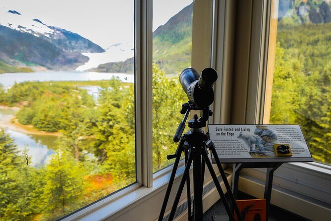 Mendenhall Glacier Express Tour - The Value of the Mendenhall Glacier Express Tour