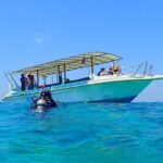 Menjangan island for Certified Scuba Divers full day boat trip, 2 dives + lunch - Why Travelers Keep Coming Back