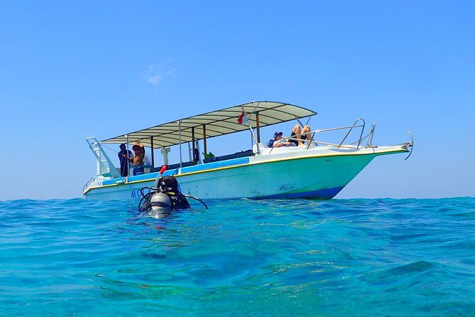 Menjangan island for Certified Scuba Divers full day boat trip, 2 dives + lunch - Why Travelers Keep Coming Back