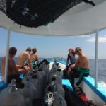 Menjangan island snorkeling full day boat trip - Why Choose This Tour?