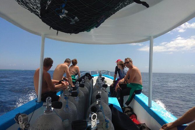 Menjangan island snorkeling full day boat trip - Why Choose This Tour?