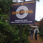 Mercara Gold Coorg Coffee and Spice Estate Tour - A Deep Dive Into the Mercara Gold Coorg Coffee and Spice Estate Tour