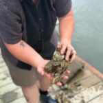 Mere Point Oyster Farm Tour - FAQ
