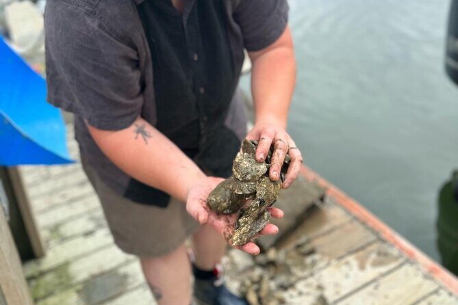 Mere Point Oyster Farm Tour - FAQ