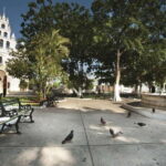 Mérida: City Highlights Guided Walking Tour - Why This Tour Offers Good Value