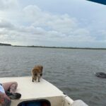 Mermaid Pirate Tours - Who Should Book This Tour?