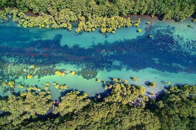 Merritts Mill Pond Eco Adventure - The Sum Up