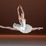 Mexico Authentic Folk Ballet Xochimilco and Coyoacán - In The Sum Up