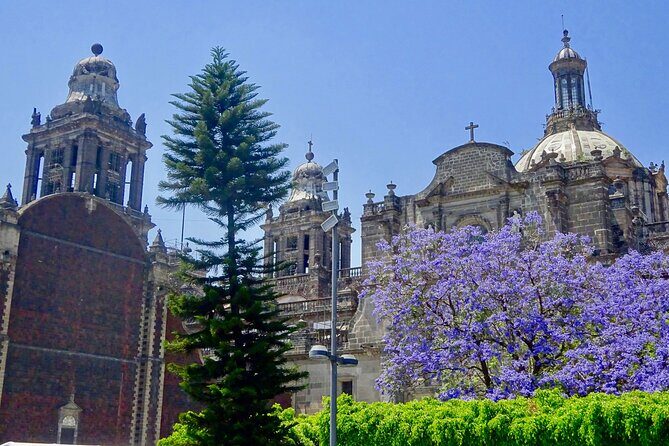 Mexico City History Tour with a Local Expert: 100% Personalized & Private - A Close Look at Mexico Citys Layers of History
