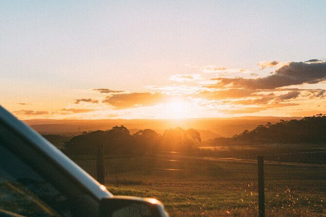 Mexico City to Oaxaca - Private Transfer with Optional Sightseeing - A Deep Dive into the Transfer Experience