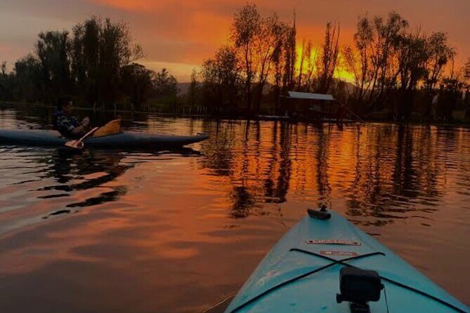Mexico City: Xochimilco at sunrise + Breakfast and transportation - A Deep Dive into the Xochimilco Sunrise Experience