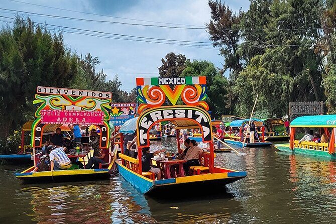 Mexico City: Xochimilco, Coyoacán and University City Tour - Practical Details and What They Mean for You