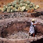 Mezcal Tasting -Masterclass + Blind tasting- - Why This Tour Matters for Travelers