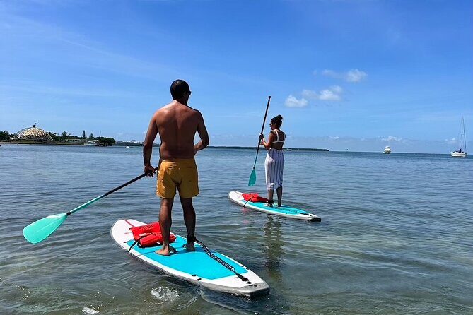 Miami Biscayne Bay Paddle - Why Paddling in Biscayne Bay Is a Great Choice