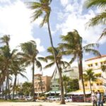 Miami City Tour and Biscayne Bay Cruise with Hotel Transportation - Who Should Consider This Tour?