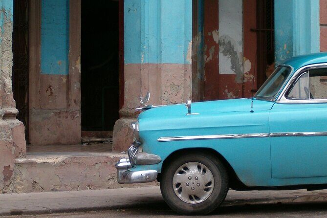 Miami City Tour & Celebrity Homes Cruise+Cuban Coffee Experience - Who Will Love This Tour?