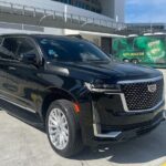 Miami & Fort Lauderdale - Port & Airport Transfer Service - Final Thoughts: Is this the Transfer for You?