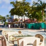 Miami Small Group Tour from Fort Lauderdale w/Millionaire's Row - Who Should Consider This Tour?