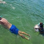 Miami: Snorkel adventure & Sandbar Trip - What Travelers Say
