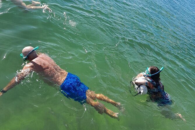 Miami: Snorkel adventure & Sandbar Trip - What Travelers Say