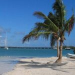 Miami to Key West Overnight Round-Trip Transfer - The Practical Side: Pricing, Logistics, and Value