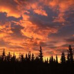 Midnight Sun ATV Adventure 2.5 Hour Tour - Authentic Encounters and Customer Reactions