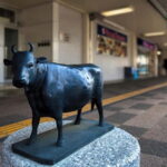 Mie: Matsusaka Beef Gourmet Tour- Taste Japans Finest Wagyu - Is It Worth the Price?