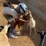 Mini ATVs and Farm Animal Experience - Why Youll Love This Experience