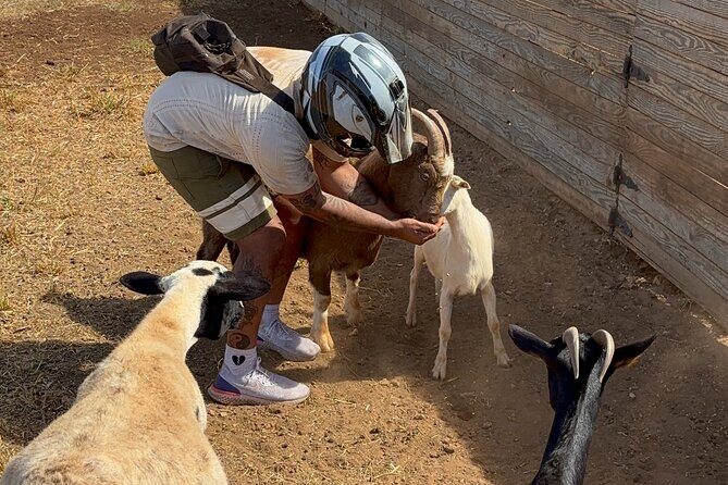 Mini ATVs and Farm Animal Experience - Why Youll Love This Experience