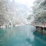 Mini Group Day Tour to Zhangjiajie Forest Park & Avatar Mountains - In-Depth Look at the Zhangjiajie Mini Group Tour
