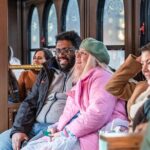 Minneapolis Narrated Scenic Sightseeing Trolley Tour - Who Should Consider This Tour?