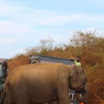 Minneriya: Jeep Safari From Trincomalee - Exploring Minneriya National Park: What to Expect
