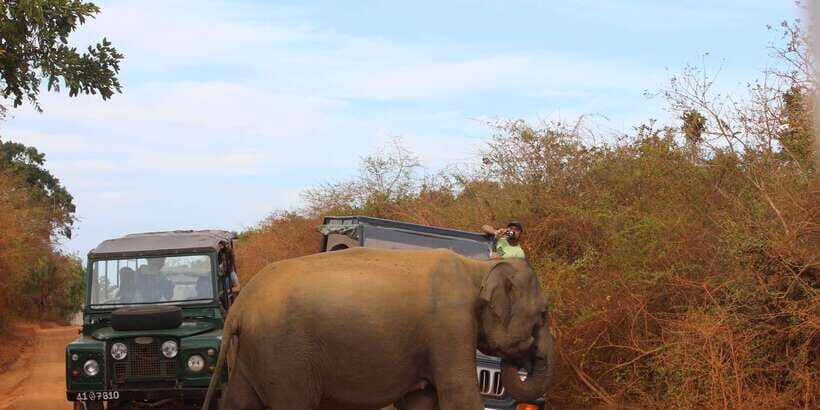 Minneriya: Jeep Safari From Trincomalee - Exploring Minneriya National Park: What to Expect