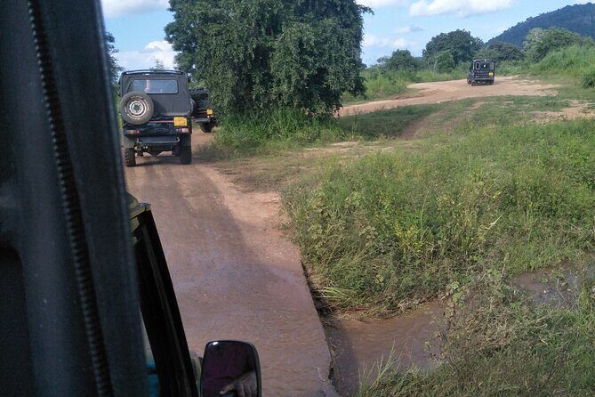 Minneriya / Kaudulla National Park Jeep Safari - Who Should Consider This Tour?