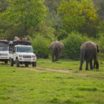 Minneriya: Minneriya National Park Private Evening Safari - The Guide and Transport: Why They Matter