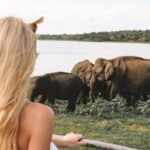 Minneriya National Park Private Safari - In-Depth Review of the Minneriya National Park Private Safari