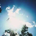 Minnesota River Valley 14-Line Thrilling Zipline Canopy Tour - Who Will Love This Experience?