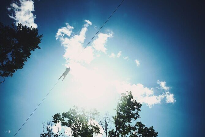 Minnesota River Valley 14-Line Thrilling Zipline Canopy Tour - Who Will Love This Experience?