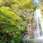 Minoo Park: Guided Nature Walk - The Itinerary in Detail