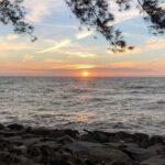 Miri Half Day City Tour - Final Thoughts