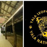 Mirissa/Galle: Transfer to Ella & YALA & UDAWALAWA Safaris - Frequently Asked Questions (FAQs)