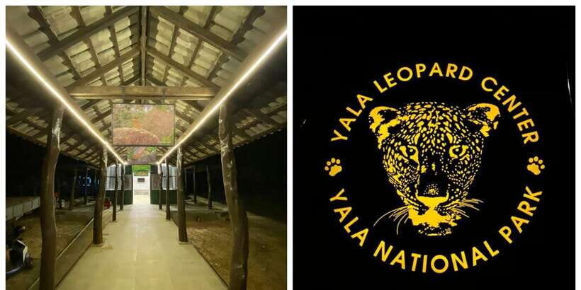 Mirissa/Galle: Transfer to Ella & YALA & UDAWALAWA Safaris - Frequently Asked Questions (FAQs)