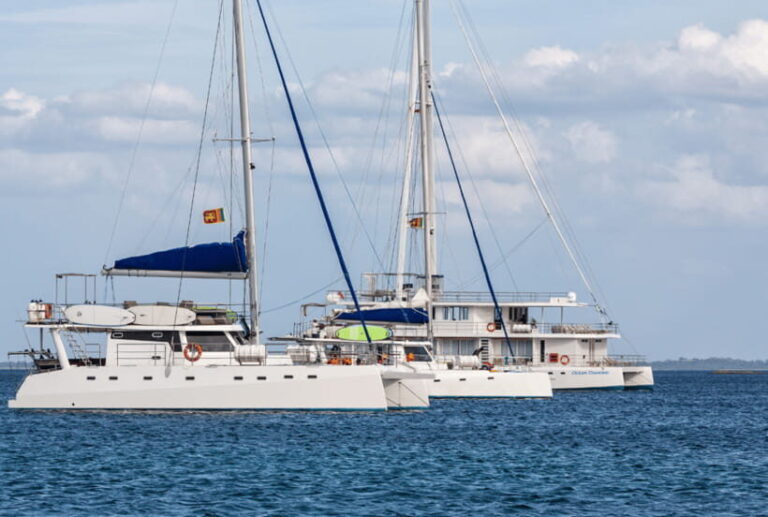Mirissa: Luxury Sailing Boat Dolphin and Whale Watching - Pricing and Value: Is It Worth It?