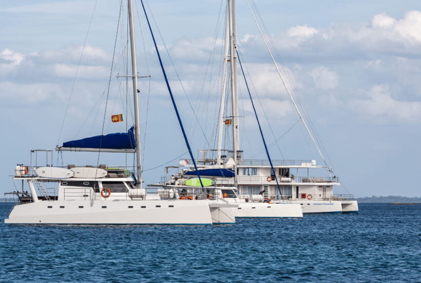 Mirissa: Luxury Sailing Boat Dolphin and Whale Watching - Pricing and Value: Is It Worth It?