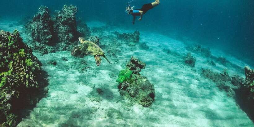 Mirissa: Snorkeling Experience with Turtles - Who Should Consider This Tour?