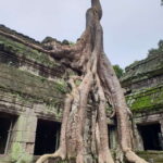 Mixture of temples and waterfall. - What We Think About the Value