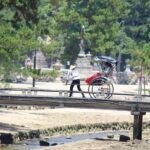 Miyajima: Private Rickshaw Tour to Itsukushima Shrine - A Deep Dive into the Miyajima Rickshaw Tour