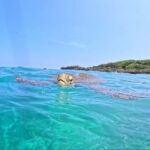 Miyako Island: English speaking SUP Tour - Who Should Consider This Tour?